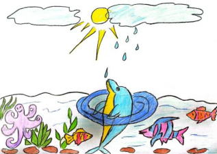 Морские обитатели 